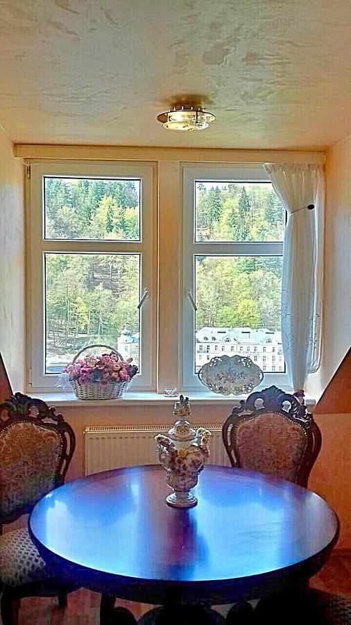 Lira 3 Apartments Karlovy Vary Exteriör bild